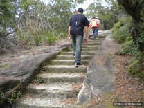 年後減重新招？「打肪」步道　邊玩還可以邊減肥