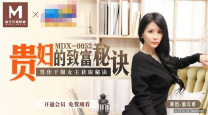 國產華語自拍AV品牌貴婦的致富秘訣男僕幹服女主獲取秘訣豪乳女神  仙兒媛 高清