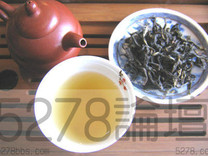 烏龍茶是半熟成的好還是生茶好