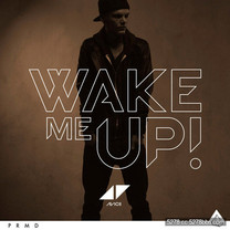 Avicii, Aloe Blacc 瑞典DJ - Wake Me Up