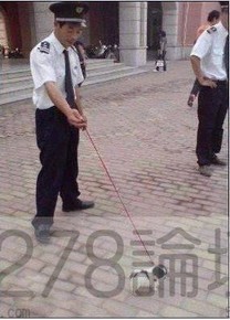 警犬