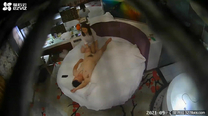 新鮮出爐螢石雲欣賞拔完火罐小伙電召了一位24小時上門的小姐一條龍服務亮點是呻吟聲對白清晰