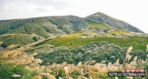 台北陽明山 芒花滿山頭 樂賞大屯夕照