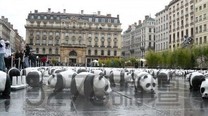 1600只熊貓集體賣萌