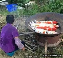 大媽煮魚