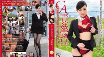 CA青姦露出憧憬的乘務員淫亂痴女魔  櫻木凜馬賽克破壞版