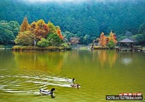 宜蘭 明池之秋 賞湖景紅葉