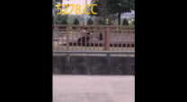 噓~~  惦惦看就好