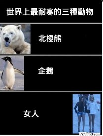 世界上最耐寒的三種動物。。。