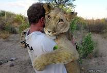 母獅討抱抱