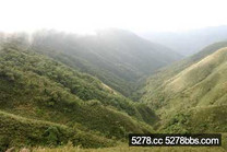 秋日銀浪遍山頭   走步道賞秋芒最過癮! 秋日銀浪遍山頭   走步道賞秋芒最過癮!