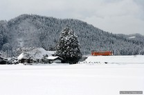 預約今年的冬雪   秋田內陸線鐵道  領略祕境之美