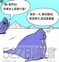 快看地上那是什麼