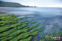 北海岸 山海遊 賞花 探石槽 訪藝術村