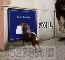 Top Fail 3