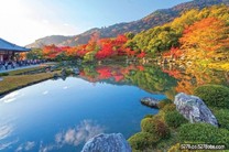 日本京都天龍寺