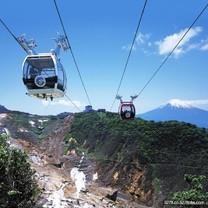 箱根纜車 360度視野賞景