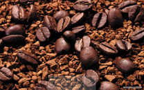 咖啡豆優劣差很大　善用五感辨別好壞