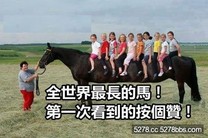 世界最長的馬~~~