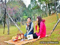 桃園三日遊 「陸海空三均迷踩」玩透透