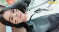 車上露出