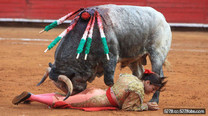墨西哥女鬥牛士被公牛頂飛　憤怒公牛攪亂賽場