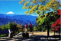 箱根登山鐵道楓情