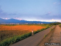 雙北10條人氣自行車道　絕美金色水岸奪冠