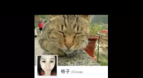 連續假日 跑步去