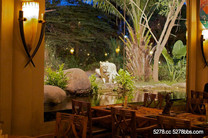 傻眼！在峇里島與大象共舞，和獅子用餐？！