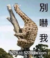 嚇死我了